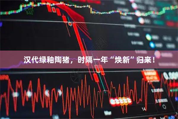 汉代绿釉陶猪，时隔一年“焕新”归来！