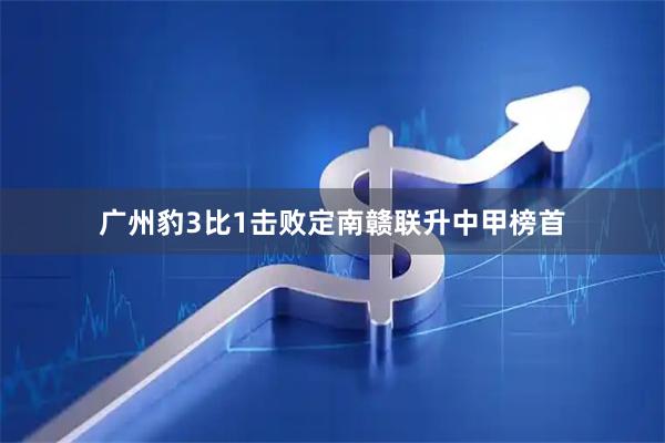 广州豹3比1击败定南赣联升中甲榜首