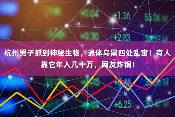 杭州男子抓到神秘生物，通体乌黑四处乱窜！有人靠它年入几十万，网友炸锅！