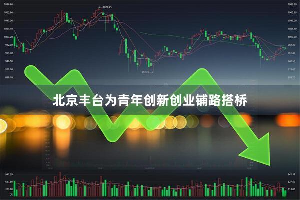 北京丰台为青年创新创业铺路搭桥